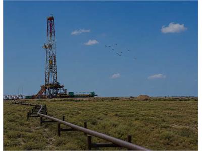Pioneer in the sustainable development of the oil and gas industry